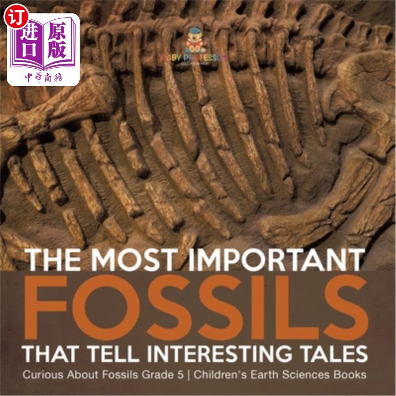 海外直订The Most Important Fossils That Tell Interesting Tales Curious About Fossils Gra 讲述有趣故事的最重要的化石