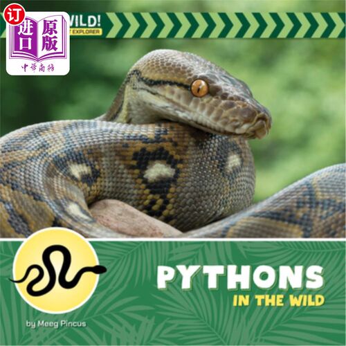海外直订Pythons in the Wild 野外的蟒蛇