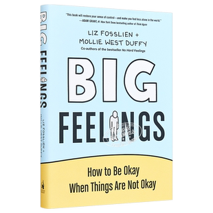 重大感知 当事情不顺利的时候如何做好 英文原版 Big Feelings How to Be Okay When Things Are Not Okay Fosslien【中商原?