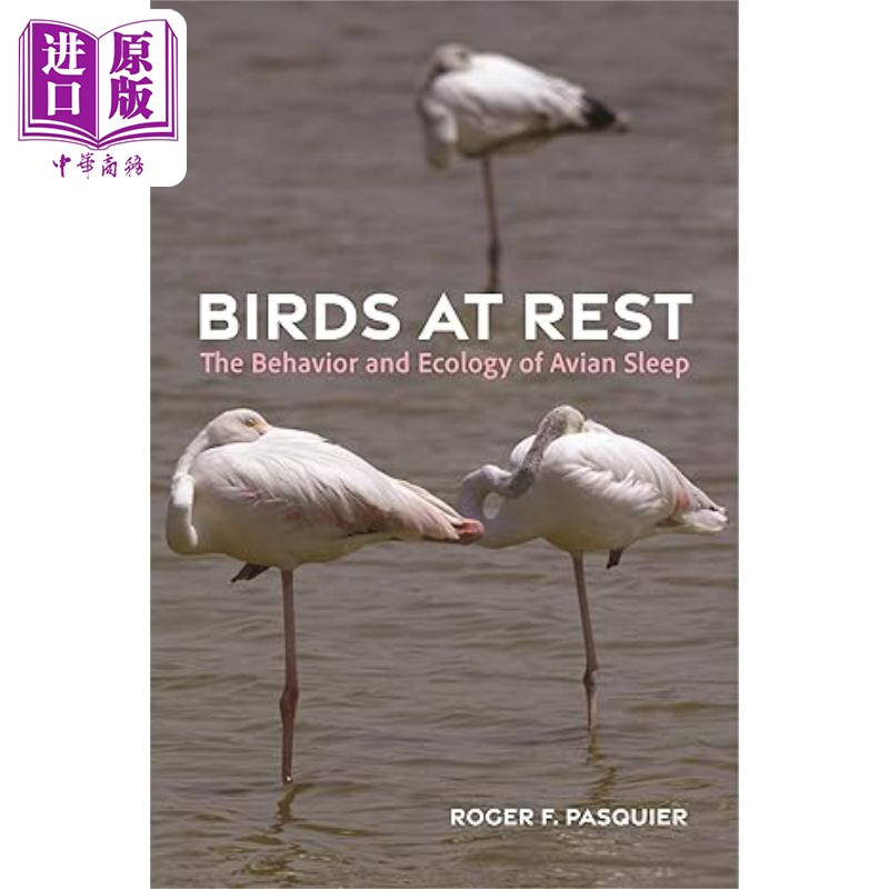 预售 休息中的鸟类 鸟类睡眠的行为和生态学 Birds at Rest 英文原版 Roger Pasquier 鸟类知识科普【中商原版】