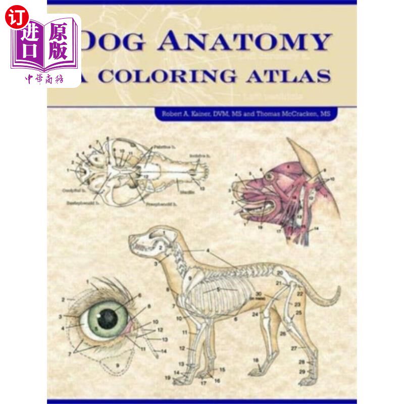 海外直订医药图书Dog Anatomy 狗解剖学