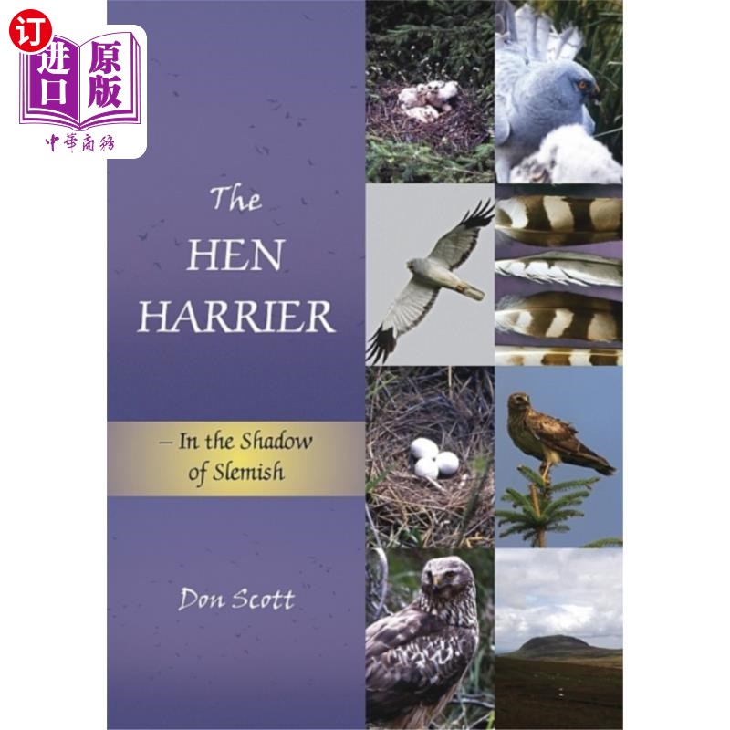 海外直订Hen Harrier 母鸡猎兔犬