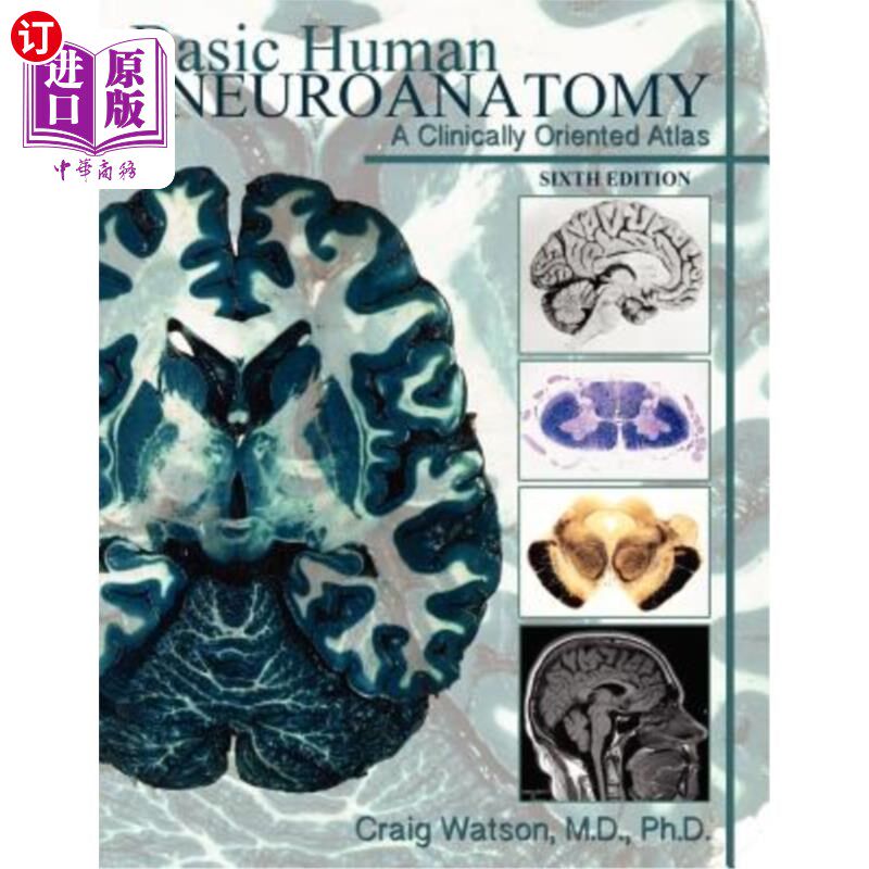 海外直订Basic Human Neuroanatomy: A Clinically Oriented Atlas 基础人体神经解剖学:一个面向临床的图谱