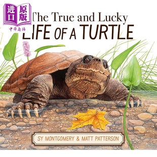 动物百科知识图书 The Lucky and 乌龟真实而幸运 儿童科普绘本 进口读物 英文原版 True Turtle 中商原版 Life 一生