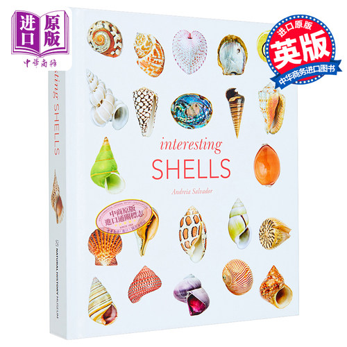 有趣的贝壳 Interesting Shells Andreia Salvador 英文原版 贝壳标本 藏品博览【中商原版】
