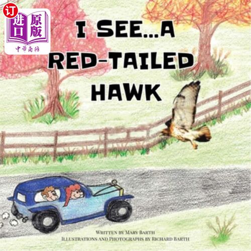 海外直订I See... A Red-Tailed Hawk 我明白了…红尾鹰
