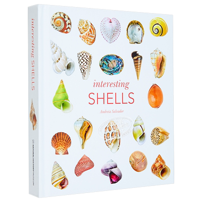 有趣的贝壳 Interesting Shells Andreia Salvador 英文原版 贝壳标本 藏品博览【中商原版】