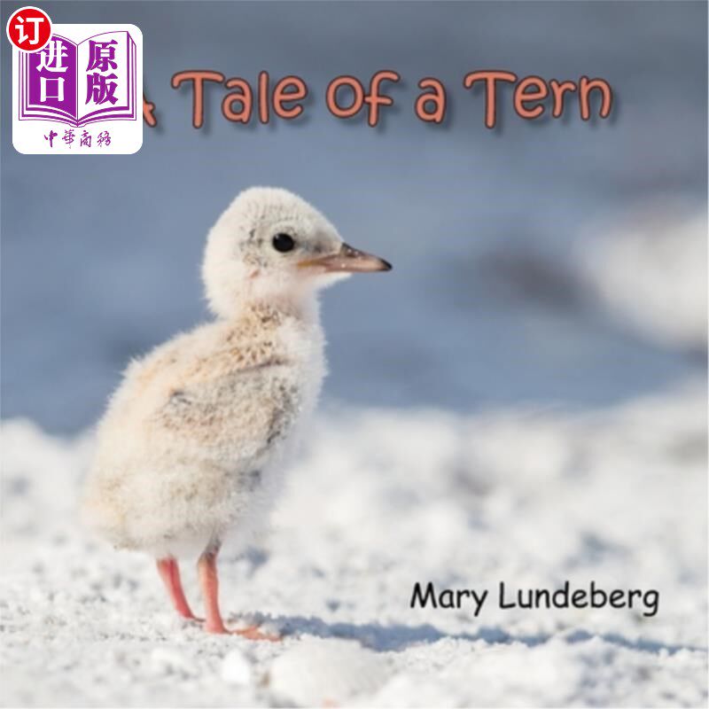 海外直订A Tale of a Tern 燕鸥的故事