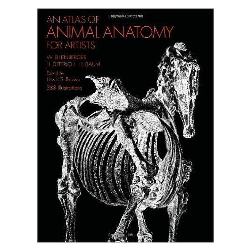 预售 An Atlas of Animal Anatomy for Artists 进口艺术 动物解剖图谱 动物绘画技巧参考书【中商原版】