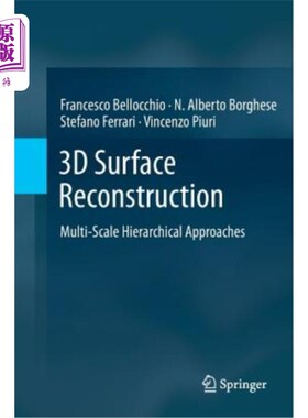 海外直订3D Surface Reconstruction: Multi-Scale Hierarchical Approaches 三维表面重建：多尺度分层方法