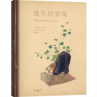 遺失的靈魂 遗失的灵魂 诺贝尔获奖作家作品 儿童亲子启蒙故事绘本 大块文化 精装 港台原版 6-9岁【中商原版】