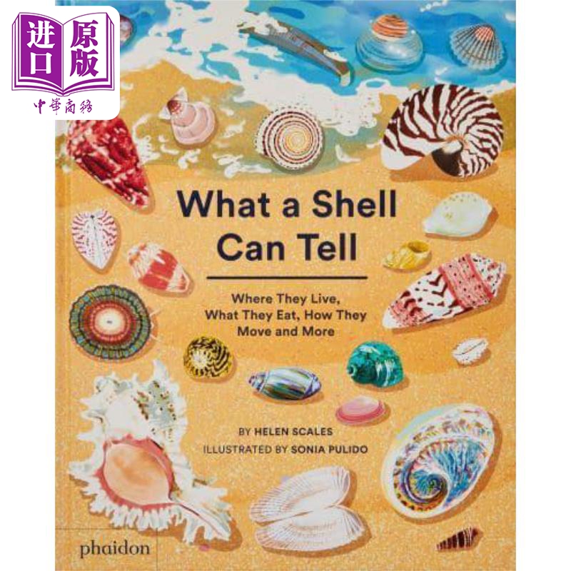 现货 What A Shell Can Tell贝壳能告诉我们什么英文原版儿童精品绘本社会人物与历史主题 6到9岁【中商原版】