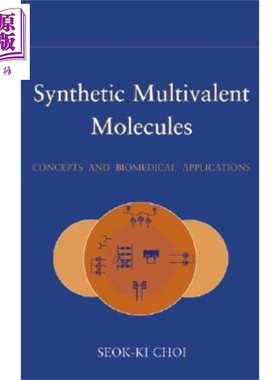现货 合成多价分子 Synthetic Multivalent Molecules Seok【中商原版】