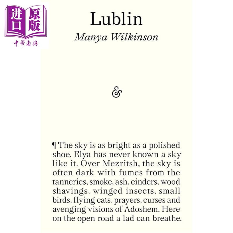 预售 卢布林 2025年霍桑顿文学奖 Lublin 英文原版 Manya Wilkinson 温盖特文学奖  2025年皇家文学学会安可奖【中商原版】