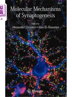 海外直订医药图书Molecular Mechanisms of Synaptogenesis 突触发生的分子机制