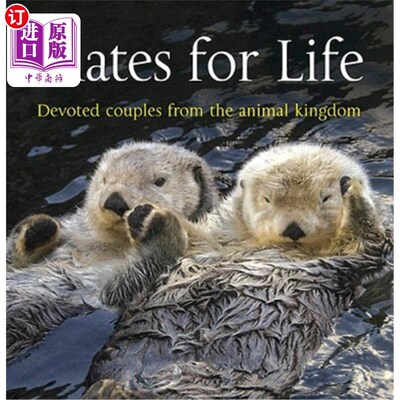 海外直订Mates for Life: Devoted Couples from the Animal Kingdom 终身伴侣:来自动物王国的忠诚伴侣