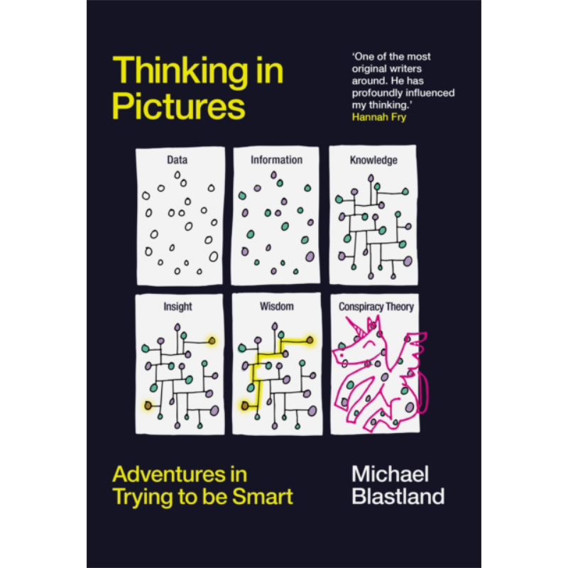 迈克尔布拉斯兰德 用图像思考 努力变得聪明的历险记 Thinking in Pictures 英文原版 Michael Blastland 图形记忆【中商原版