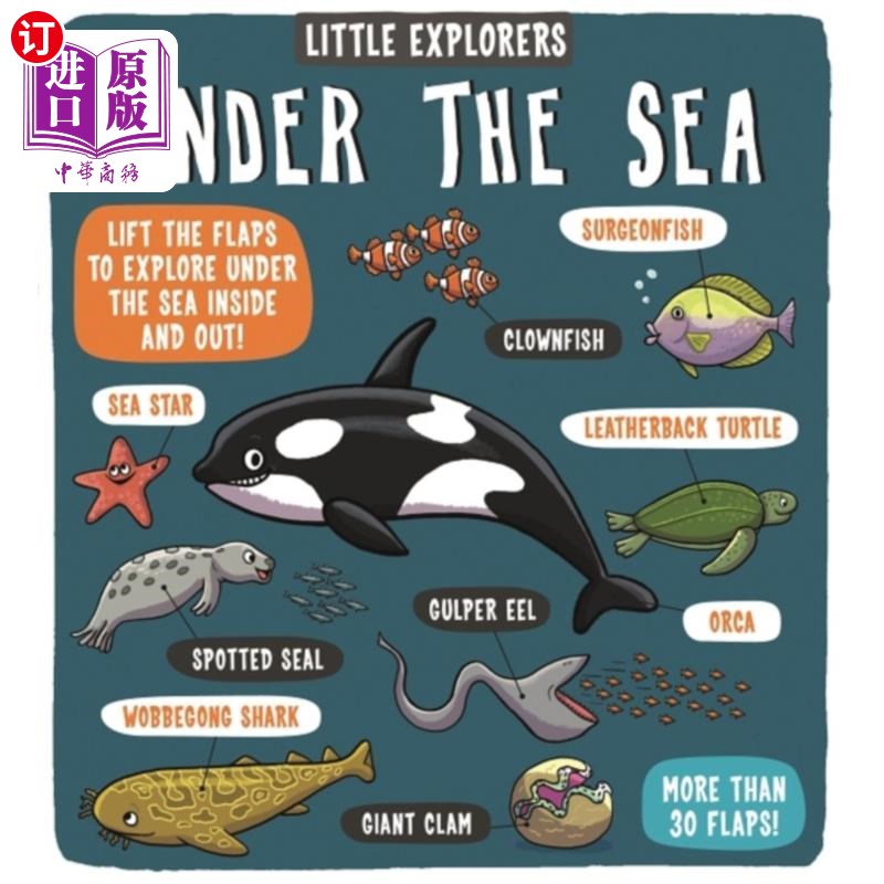 海外直订Little Explorers: Under the Sea