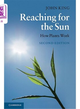 海外直订Reaching for the Sun 伸手去晒太阳