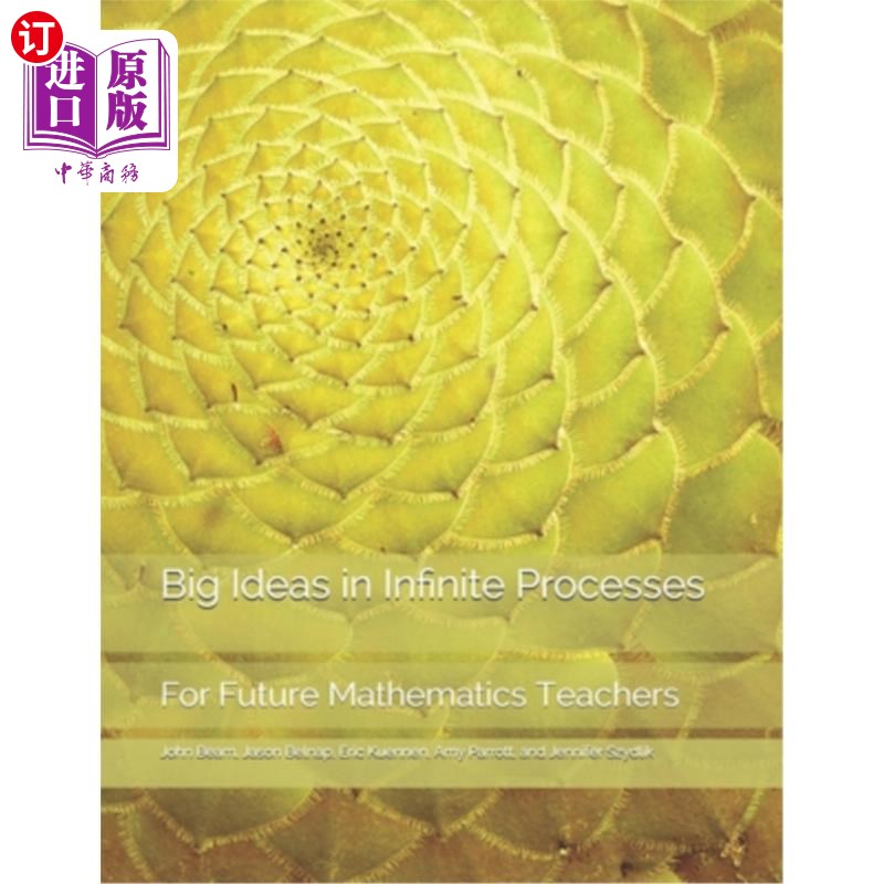海外直订Big Ideas in Infinite Processes: For Future Mathematics Teachers 无限过程中的大思想:对未来数学教师的启示