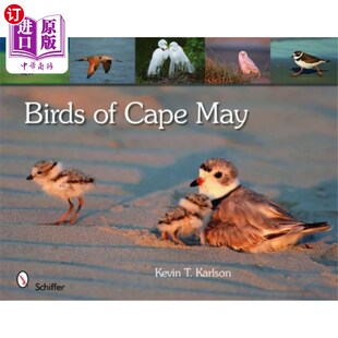 May Cape New Jersey 鸟类 海外直订Birds 新泽西州梅角