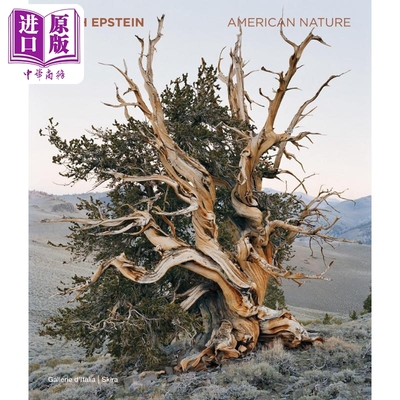 米奇爱泼斯坦MitchEpstein