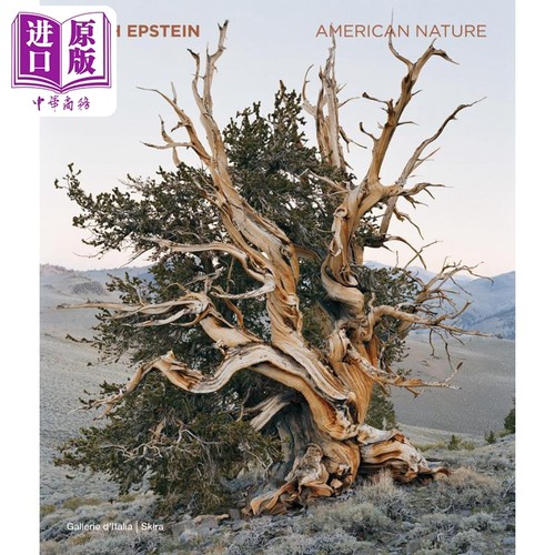 米奇爱泼斯坦MitchEpstein