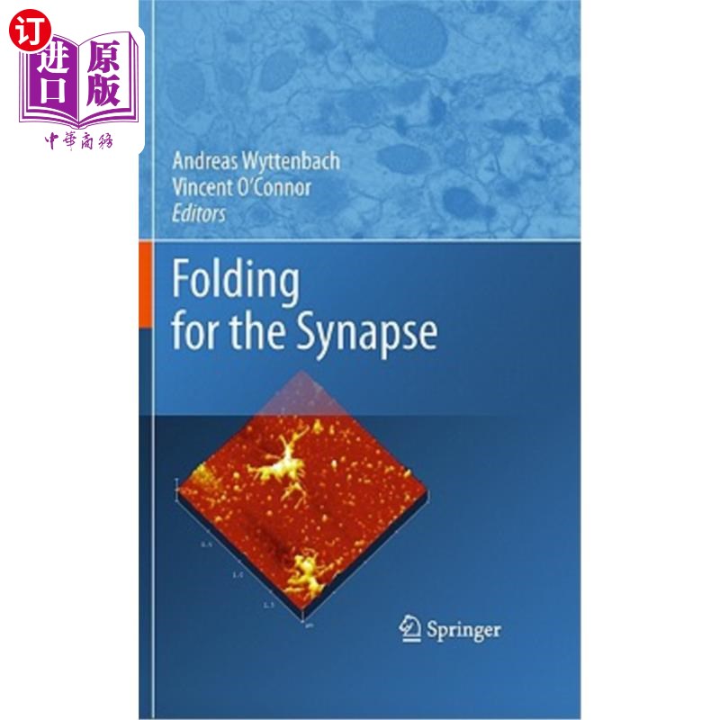 海外直订医药图书Folding for the Synapse 突触折叠