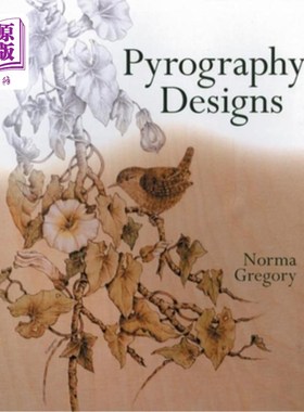 海外直订Pyrography Designs 热成像设计