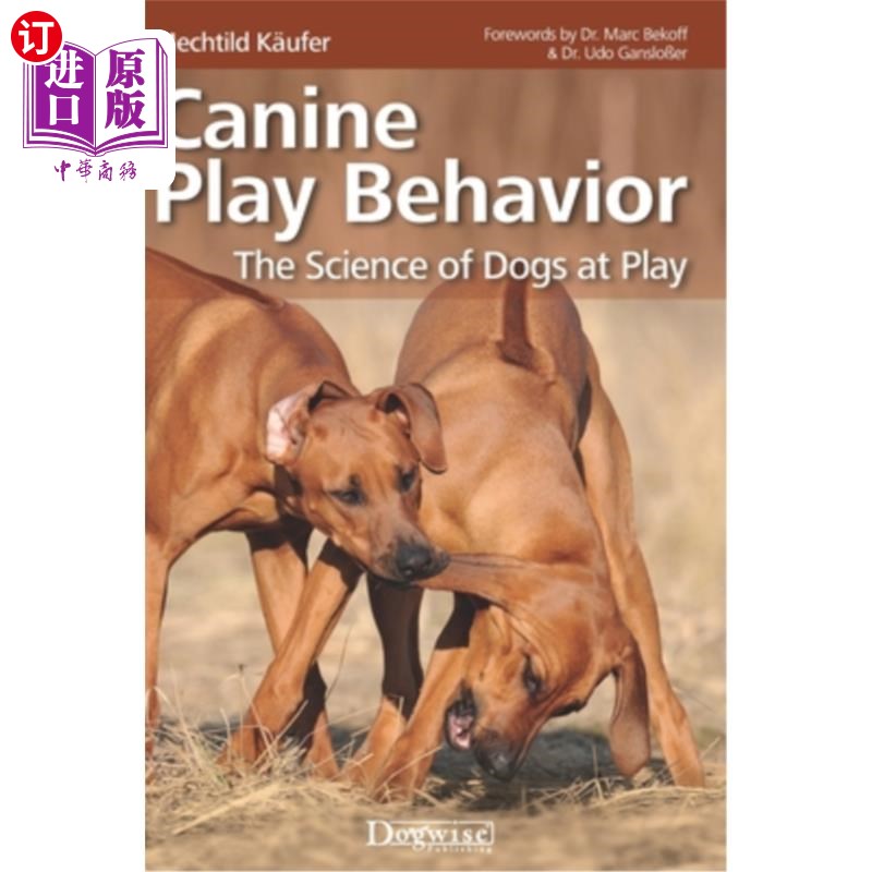 海外直订Canine Play Behavior: The Science of Dogs at Play犬类游戏行为:狗类游戏的科学