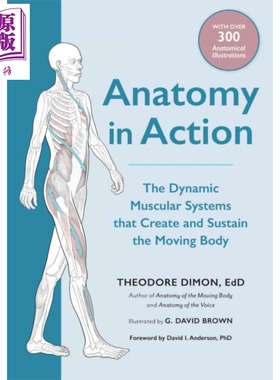 预售 动作解剖学 英文原版 Anatomy in Action Theodore Ted Dimon【中商原版】