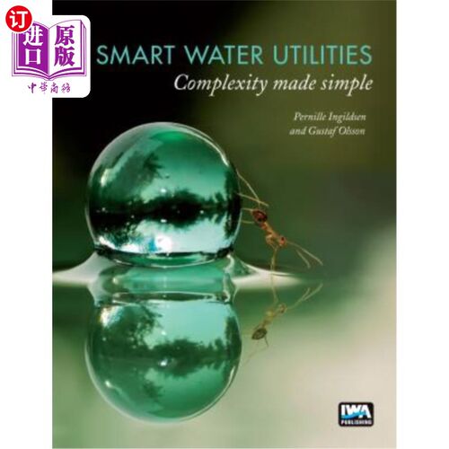 海外直订Smart Water Utilities: Complexity Made Simple 智能水利事业：复杂性变得简单