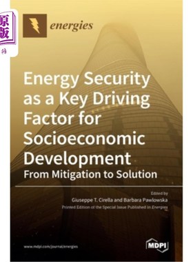 海外直订Energy Security as a Key Driving Factor for Socioeconomic Development 能源安全是推动社会经济发展的关键因素