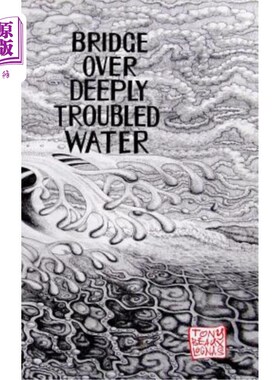 海外直订Bridge Over Deeply Troubled Waters 在水深火热的水面上架起一座桥