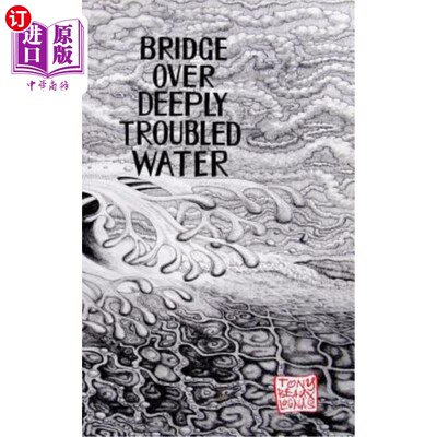 海外直订Bridge Over Deeply Troubled Waters 在水深火热的水面上架起一座桥