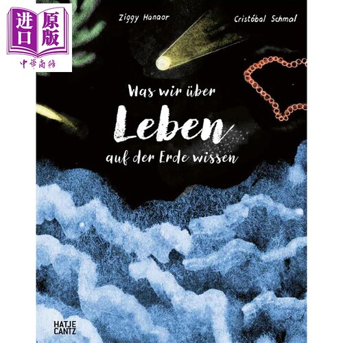 11月中旬到货