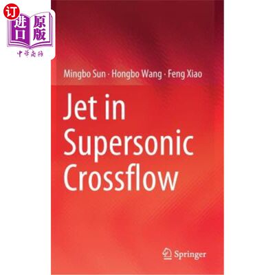 海外直订Jet in Supersonic Crossflow 超音速横流中的喷气机