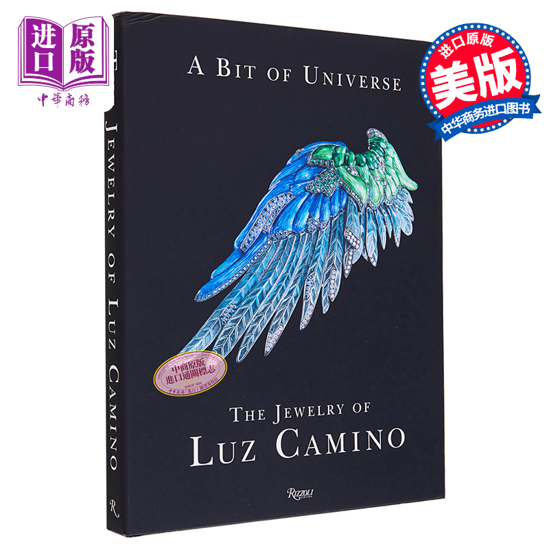 现货 Bit Of Universe Luz Camino 进口艺术 一点宇宙 Rizzoli【中商原版】