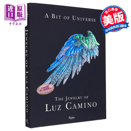 现货 Bit Of Universe Luz Camino 进口艺术 一点宇宙 Rizzoli【中商原版】