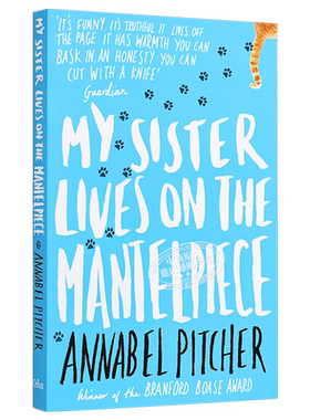 我的姐姐住在壁炉上 豆瓣高分 英文原版 My Sister Lives on the Mantelpiece Annabel Pitcher【中商原版】