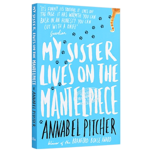 我的姐姐住在壁炉上 豆瓣高分 英文原版 My Sister Lives on the Mantelpiece Annabel Pitcher【中商原版】