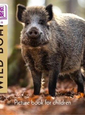 海外直订Wild Boars: Picture book for children 野猪：儿童绘本
