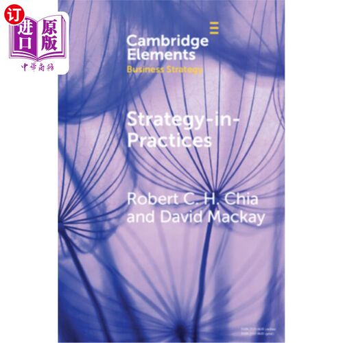 海外直订Strategy-In-Practices: A Process-Philosophical Perspective on Strategy-Making 实践中的战略:战略制定的过程哲