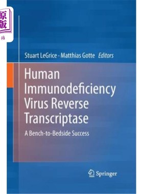 海外直订医药图书Human Immunodeficiency Virus Reverse Transcriptase 人类免疫缺陷病毒逆转录酶
