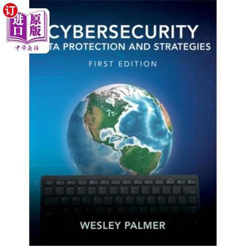 海外直订Cybersecurity - Data Protection and Strategies: First Edition 安全-数据保护和策略:第一版