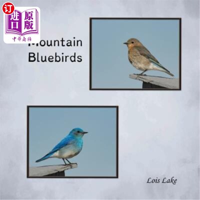 海外直订Mountain Bluebirds 山蓝知更鸟