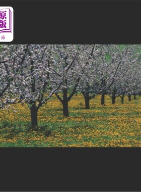 海外直订I Am Jinks 我是金克斯