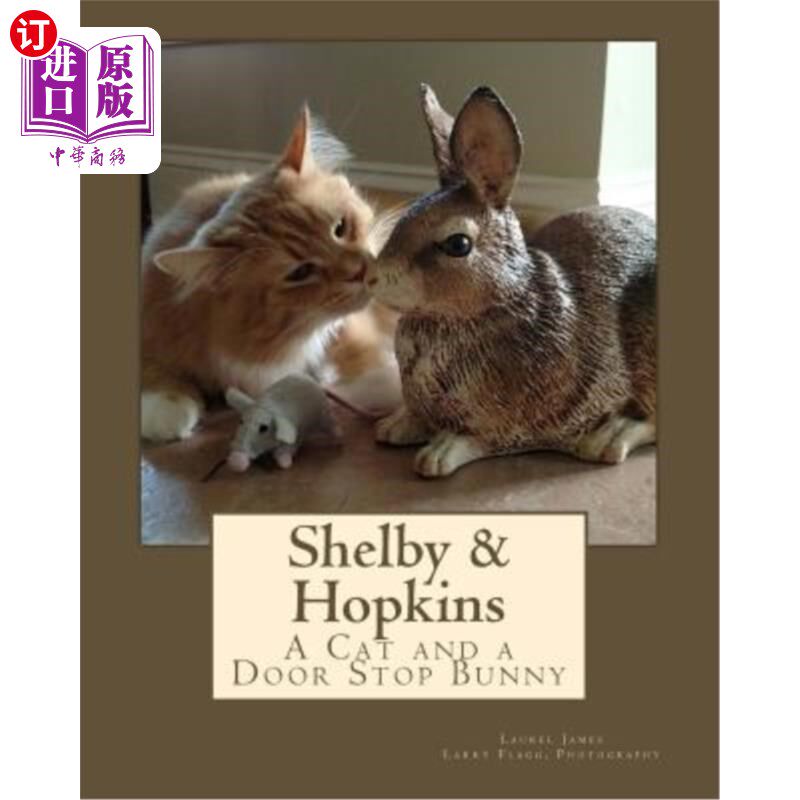 海外直订Shelby & Hopkins: A Cat and a Door Stop Bunny 谢尔比和霍普金斯：猫和门挡兔子