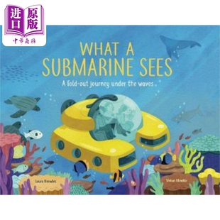 预售 Laura Knowles What a Submarine Sees 潜艇看到了什么 英文原版【中商原版】
