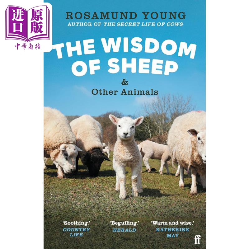 罗莎蒙德杨绵羊和其他动物的智慧